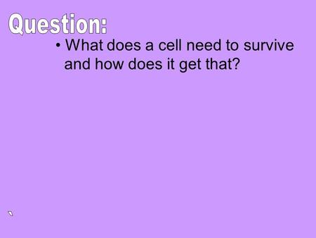 What does a cell need to survive and how does it get that?