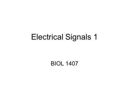 Electrical Signals 1 BIOL 1407. Electrical Signals Changes in membrane potential  currents Used by cells for quick communication.