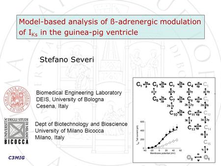C3MIG Model-based analysis of ß-adrenergic modulation of I Ks in the guinea-pig ventricle Biomedical Engineering Laboratory DEIS, University of Bologna.