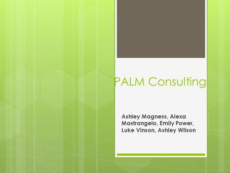 PALM Consulting Ashley Magness, Alexa Mastrangelo, Emily Power, Luke Vinson, Ashley Wilson.