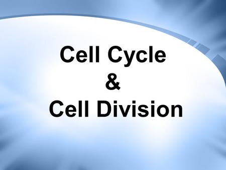 Cell Cycle & Cell Division. Cell Cycle