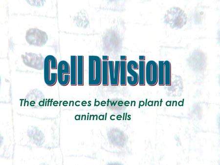 Cell Division The differences between plant and animal cells 1.