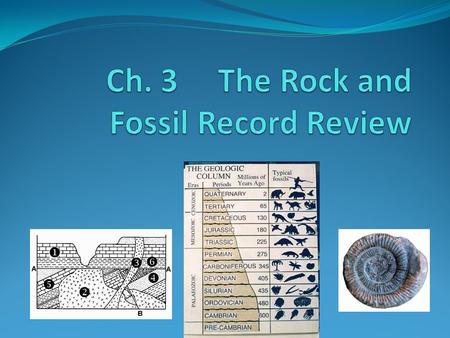 Ch. 3 The Rock and Fossil Record Review