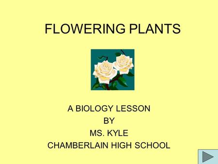 FLOWERING PLANTS A BIOLOGY LESSON BY MS. KYLE CHAMBERLAIN HIGH SCHOOL.