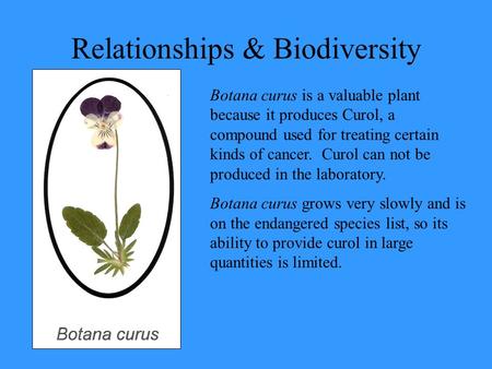 Relationships & Biodiversity