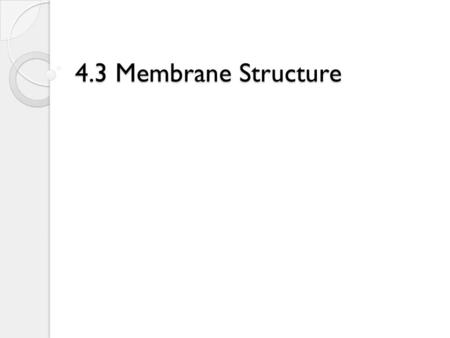 4.3 Membrane Structure. Membrane Function Surrounds all cells Regulates cell’s internal environment ◦ Maintains HOMEOSTASIS  Maintains the same conditions.
