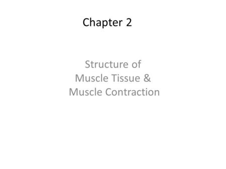 Chapter 2 Structure of Muscle Tissue & Muscle Contraction.