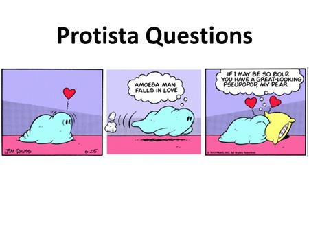 Protista Questions 1 of 11) Which are protista? There may be more than 1 answer. Choose all that apply. Methanogens Gram positive Basidiospores Halophiles.