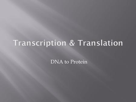 DNA to Protein Transcription & Translation.  What are these nucleotides telling us?  Sequence of nucleotides in DNA contains information to produce.