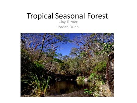 Tropical Seasonal Forest Clay Turner Jordan Dunn.