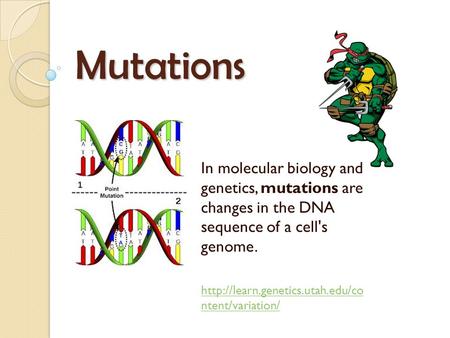 Mutations In molecular biology and genetics, mutations are changes in the DNA sequence of a cell's genome. http://learn.genetics.utah.edu/co ntent/variation/