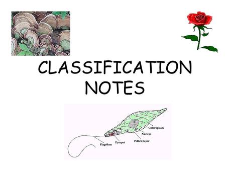 CLASSIFICATION NOTES.