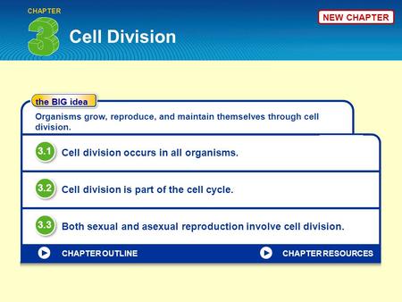 Cell Division CHAPTER the BIG idea CHAPTER OUTLINE Organisms grow, reproduce, and maintain themselves through cell division. Cell division occurs in all.