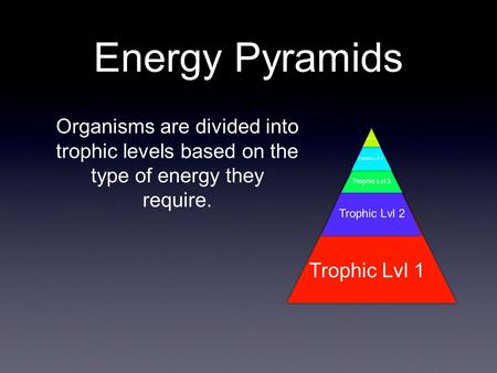 Energy Pyramids Organisms are divided into trophic levels based on the type of energy they require. Trophic Lvl 1 Trophic Lvl 2 Trophic Lvl 3 Trophic Lvl.