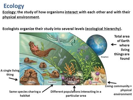 Ecology Ecology: the study of how organisms interact with each other and with their physical environment. Ecologists organize their study into several.