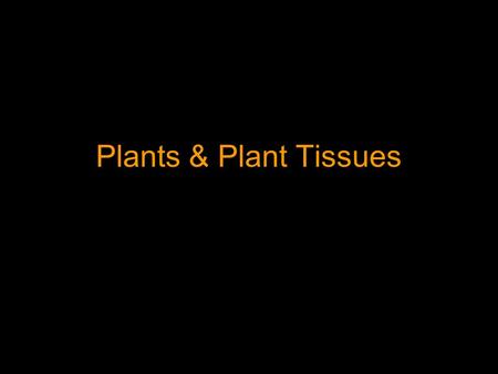 Plants & Plant Tissues Shoots System This system is composed of a stem(s), leaves, and flowers which are adapted for support, light acquisition, water.