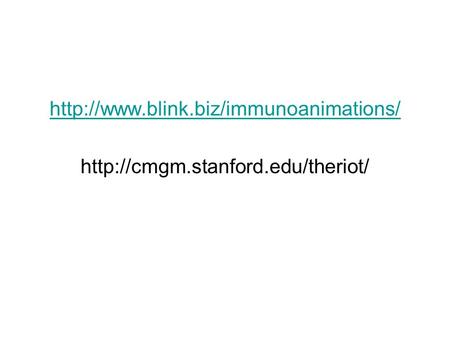 Http://www.blink.biz/immunoanimations/ http://cmgm.stanford.edu/theriot/