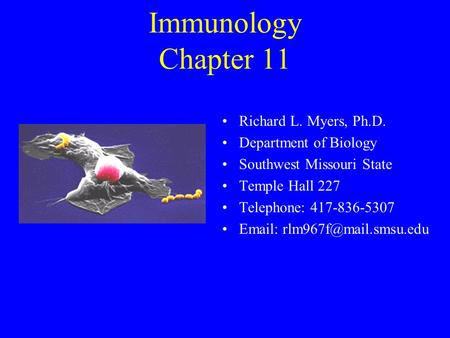 Immunology Chapter 11 Richard L. Myers, Ph.D. Department of Biology Southwest Missouri State Temple Hall 227 Telephone: 417-836-5307
