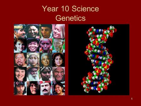 1 Year 10 Science Genetics. 2 Genetics outcomes This unit will cover: History Chromosomes and genes Genetics problem solving Human inheritance DNA To.