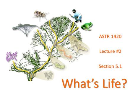 What’s Life? ASTR 1420 Lecture #2 Section 5.1. What’ Life? Have you ever wondered why all those aliens appeared in “Star Trek” or “Star Wars” movies look.