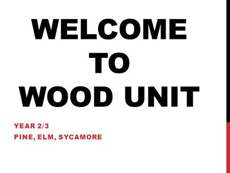 WELCOME TO WOOD UNIT YEAR 2/3 PINE, ELM, SYCAMORE.