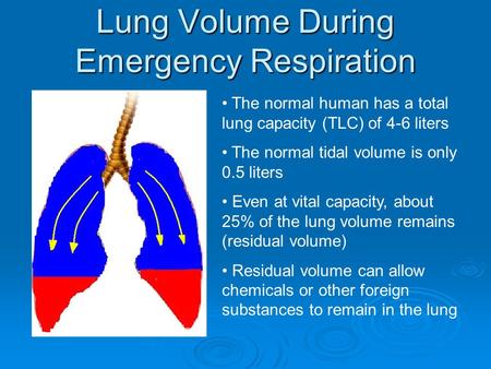 Lung Volume During Emergency Respiration The normal human has a total lung capacity (TLC) of 4-6 liters The normal tidal volume is only 0.5 liters Even.