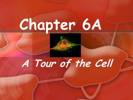 Chapter 6A A Tour of the Cell. Cytology: science/study of cells Light microscopy Resolving power~ measure of clarity Electron microscopy TEM~ electron.