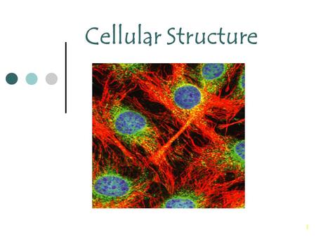 1 Cellular Structure. 2 Cell Theory The cell theory is the unifying theme in biology because it emphasizes the similarity of all living things. All organisms.
