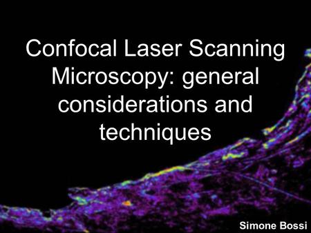 Confocal Laser Scanning Microscopy: general considerations and techniques Simone Bossi.