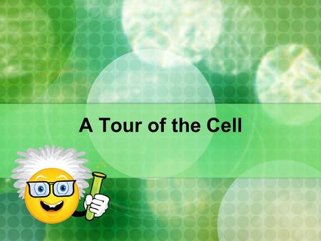 A Tour of the Cell.