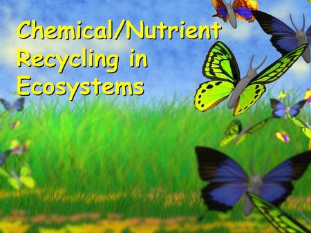 1 Chemical/Nutrient Recycling in Ecosystems. DO Now 1.In addition to energy, what do organisms need to survive?