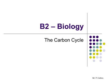 B2 – Biology The Carbon Cycle Mr. P. Collins. B2.5 The Carbon Cycle - AIMS To understand the carbon cycle Mr. P. Collins.
