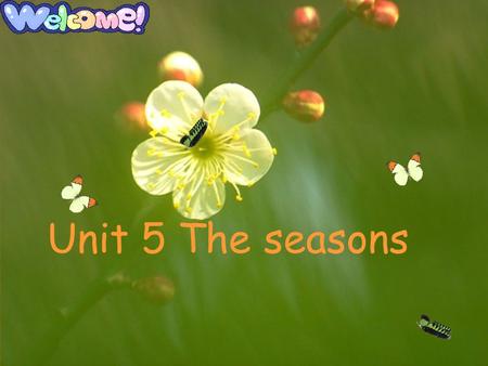 Unit 5 The seasons. Day: Date: Weather: /e/ Saturday Apr.1st sunny / ∧ / cloudy /a ʊ / rainy /eI/ windy / I / snowy / ə ʊ / foggy / ɔ /