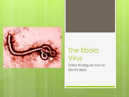 The Ebola Virus Mario Rodriguez Solivan 200-90-3863.