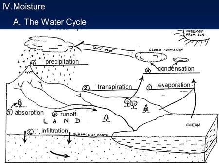 Moisture A. The Water Cycle precipitation condensation evaporation