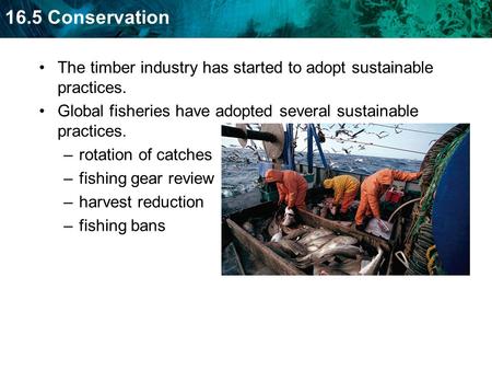 16.5 Conservation The timber industry has started to adopt sustainable practices. Global fisheries have adopted several sustainable practices. –rotation.