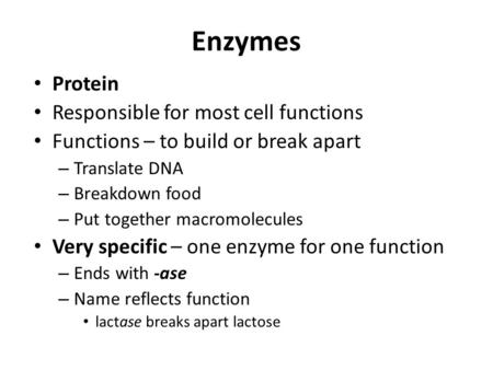 Enzymes Protein Responsible for most cell functions Functions – to build or break apart – Translate DNA – Breakdown food – Put together macromolecules.