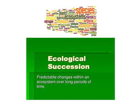 How Ecosystems Change Primary Succession occurs on a surface where no ecosystem existed before Secondary Succession occurs where an ecosystem previously.