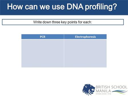 Write down three key points for each: PCRElectrophoresis.