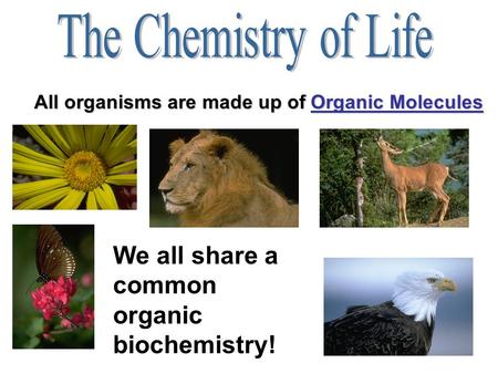 All organisms are made up of Organic Molecules We all share a common organic biochemistry!