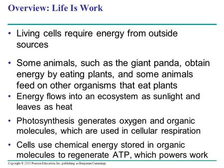 Copyright © 2005 Pearson Education, Inc. publishing as Benjamin Cummings Energy flows into an ecosystem as sunlight and leaves as heat Photosynthesis generates.