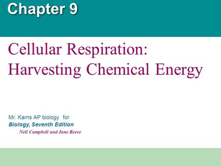 Cellular Respiration: Harvesting Chemical Energy