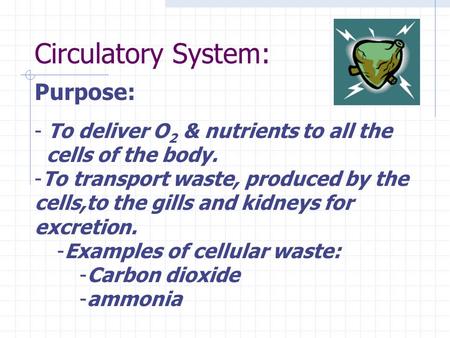 Circulatory System: Purpose: To deliver O2 & nutrients to all the