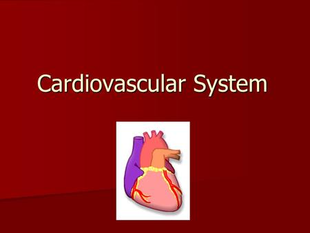 Cardiovascular System. Cardio = “heart” Vascular = “vessels” Cardio = “heart” Vascular = “vessels”