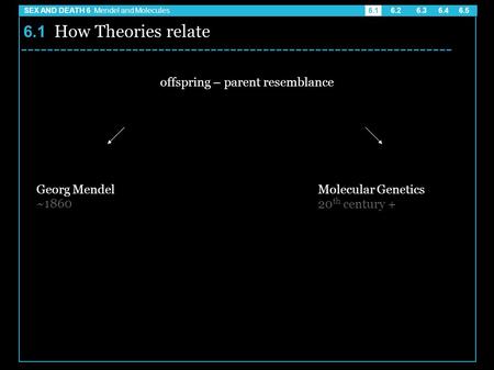 6.1 How Theories relate offspring – parent resemblance Georg Mendel ~1860 Molecular Genetics 20 th century + ------------------------------------------------------------------