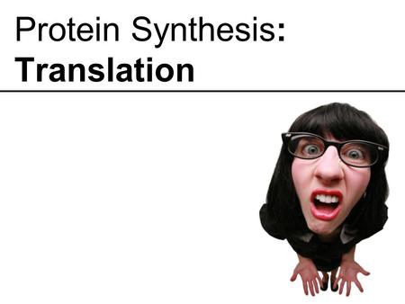 Protein Synthesis: Translation. The Ribosome: Key Points Consists of 2 subunits Large Subunit (60S) Small Subunit (40S) mRNA is clamped by the subunits.