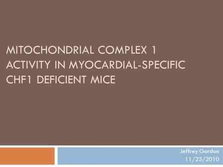 MITOCHONDRIAL COMPLEX 1 ACTIVITY IN MYOCARDIAL-SPECIFIC CHF1 DEFICIENT MICE Jeffrey Gordon 11/23/2010.