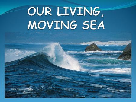 OUR LIVING, MOVING SEA.