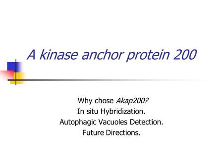 A kinase anchor protein 200 Why chose Akap200? In situ Hybridization. Autophagic Vacuoles Detection. Future Directions.