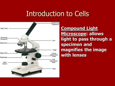 Introduction to Cells Ch. 7 Ch. 7 Compound Light Microscope: allows light to pass through a specimen and magnifies the image with lenses Compound Light.